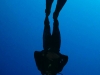 diving-550x700