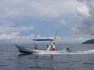 mahi-mahi