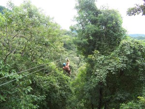 Tamarindo Congo Pura Adventura